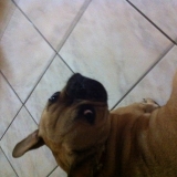 Coucou^^