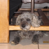 Onyx