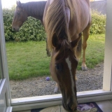 oh je peux entrer s'il te plait ?