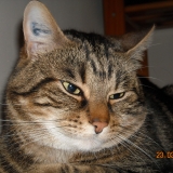 Pépère