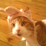 Mr. Georges