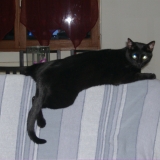 TIMINOU CORTEX