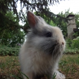 Tina