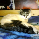 Lilith