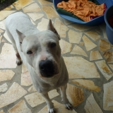 Tania