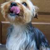 Sweety-Love