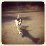  Milo 