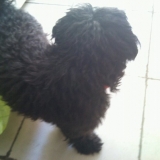 cachou