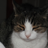 Léo