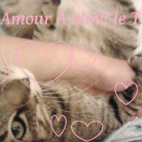 Léo♥ ◕‿◕