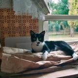 Suzie