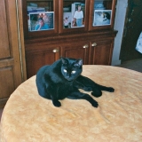Maxime