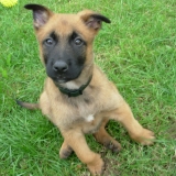 Duncan