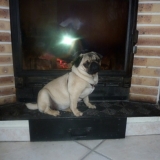 GLADYS