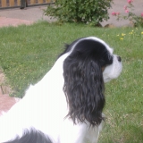 fiona