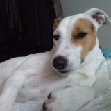 capone