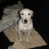 samy