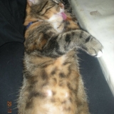 Pixel