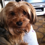 Romy