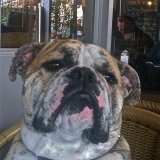 Tyson
