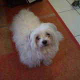 Samie