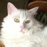 Tutty