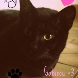 Gabin