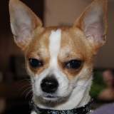 Pablo