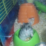 Charlie