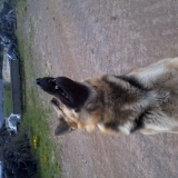 hunty