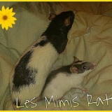 Mimi et La p'tite
