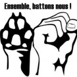 mes protégés en FA
