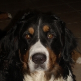 kiara