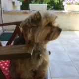 Diabolo