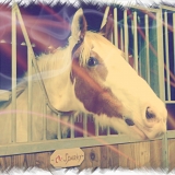 Sparky 