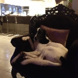 Jack