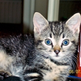 Lucy