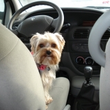 Atchoum