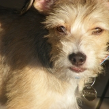 ELIOT