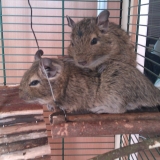 Tic & Tac