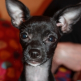 Pixel