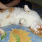 ma Naine