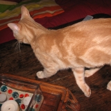 Jimmy
