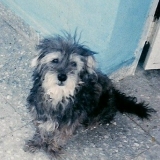 YUBY