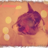 Maxou