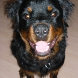 ecko