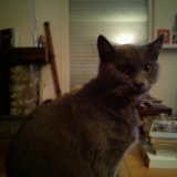 Minette