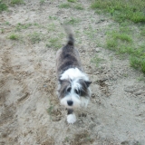 Marley
