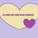 La team des plus beau animaux