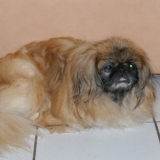 SWEETY